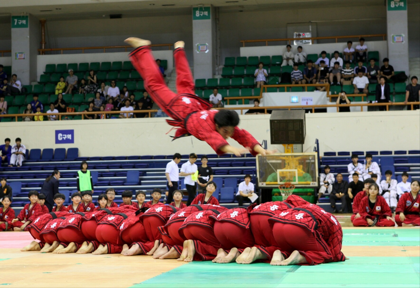 한국무예위원회 사진